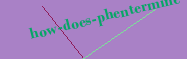 how does phentermine work
