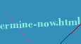 phentermine now